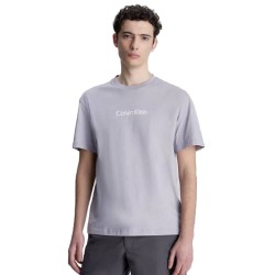 Calvin Klein T-shirt Logo Grey