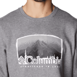 Columbia Graphic Hart Mountain™ Hoodie Grey 1861631-032