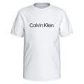 Calvin Klein Jeans Institutional Logo T-Shirt Junior