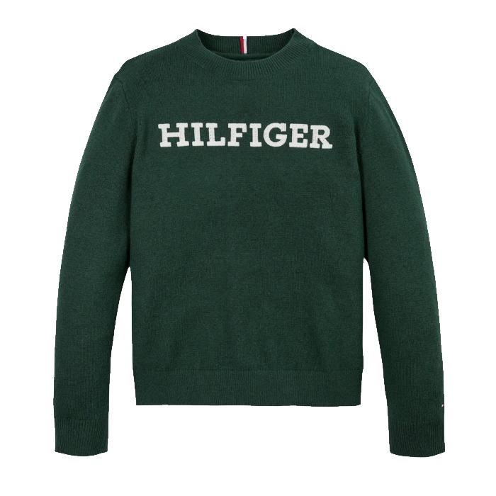 Tommy Jeans Monotype Regular Sweater Junior